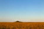 MAXIMAGES_09